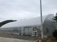 오산리게이트볼장