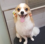 공원옆동물의료센터