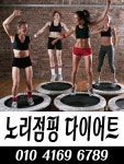 노리점핑다이어트