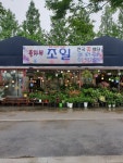 플라워조일