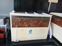 붉은대게 일번지&대게1번가