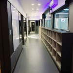 라온제나 태권도 복대관