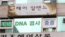 헤어알렌느
