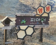피아원