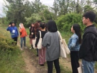 무릉도원 농촌체험휴양마을협의회