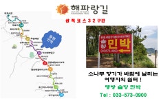 솔향민박
