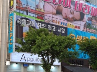 오셀롯PC 강릉교동점