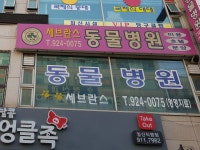 세브란스동물병원