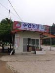 퇴촌토마토 수연농장