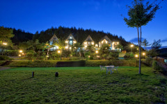 고흐와해바라기펜션