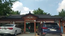 은행나무집