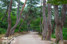 석계부동산공인중개사사무소