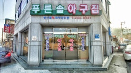 푸른솔아구집
