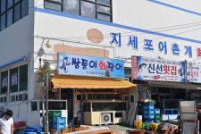 쌍둥이회장어