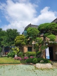 산호해