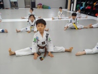 창동백호태권도장