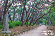 석계부동산공인중개사사무소