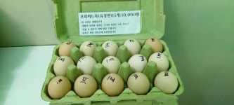 꼬꼬팜 체험교육농장