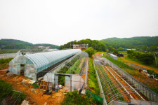 신성펜션