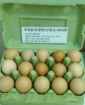 꼬꼬팜 체험교육농장