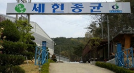 세현종균