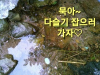 묵이네농산