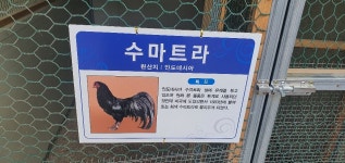 꼬꼬팜 체험교육농장