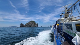 조이풀다이브리조트