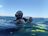 조이풀다이브리조트