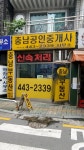 충남공인중개사사무소