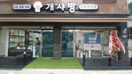 개샤방