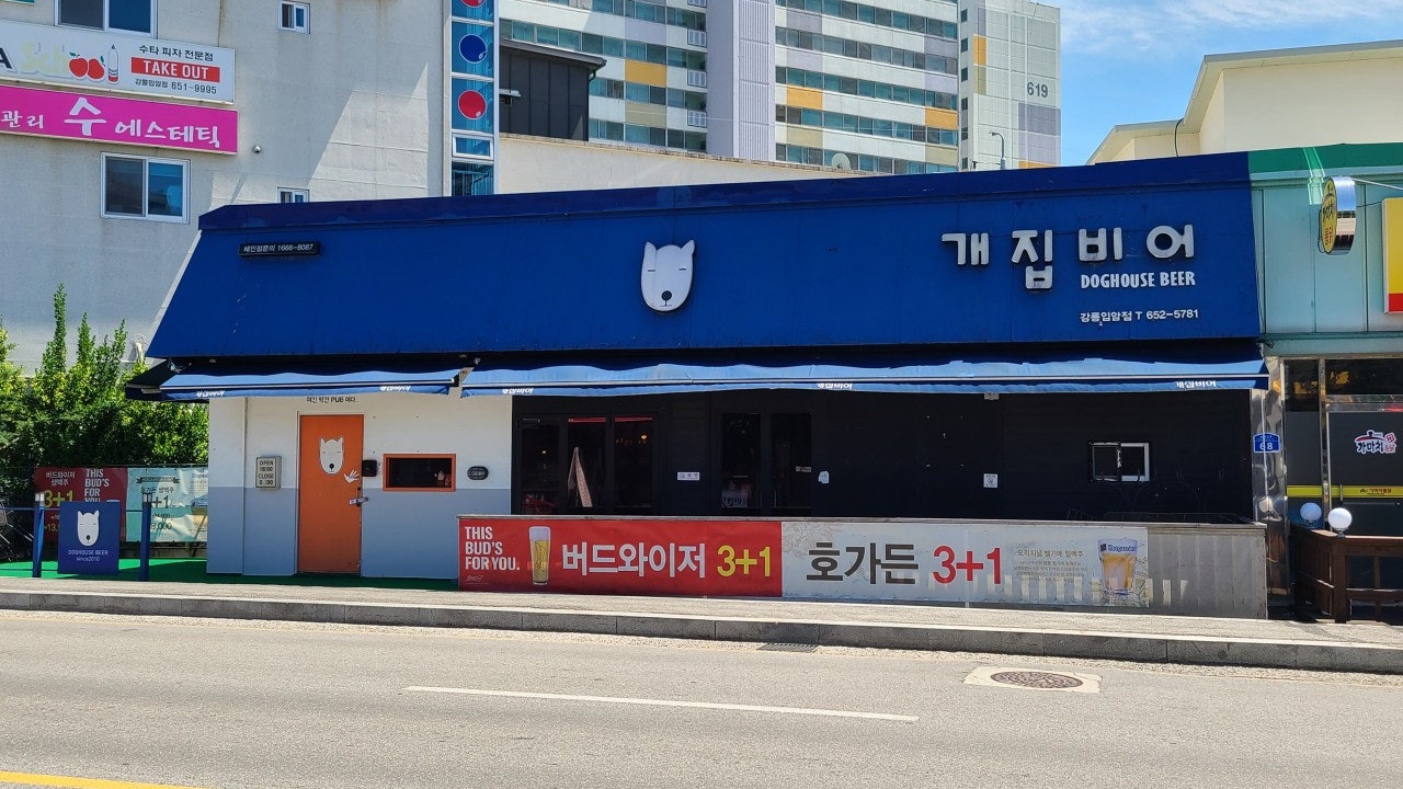 개집비어 입암점