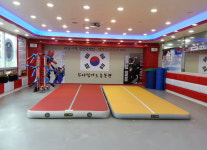무사합기도 격투기