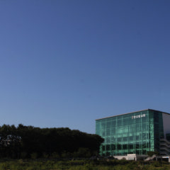 한소망교회