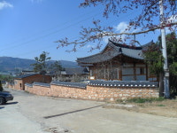 한옥배나무집민박