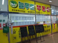 늘푸른부동산공인중개사사무소