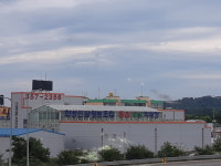 화성인삼영농조합