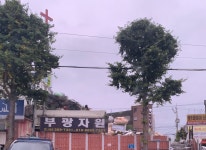 부광자원