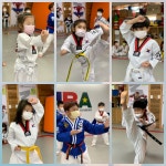 용인대석사비호태권도