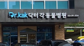 닥터각동물병원