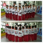 용인대석사비호태권도