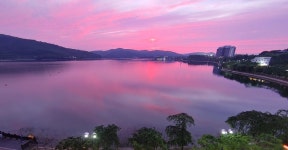 경주제주흑돼지