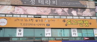도그앤캣