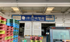 한국청과위탁판매