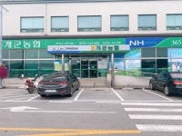 개군농협