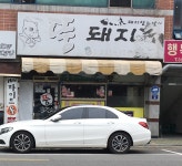 뚱돼지