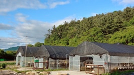 유명산한들농원