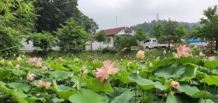 청산푸르뫼농장