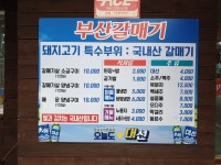 부산갈매기