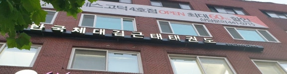 한국체대김근태태권도